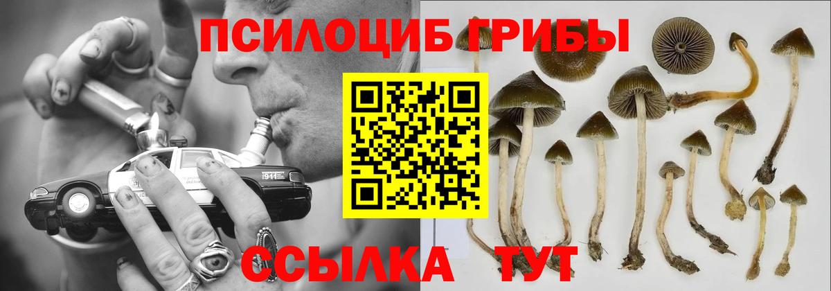 Псилоцибиновые грибы ЛСД Выборг